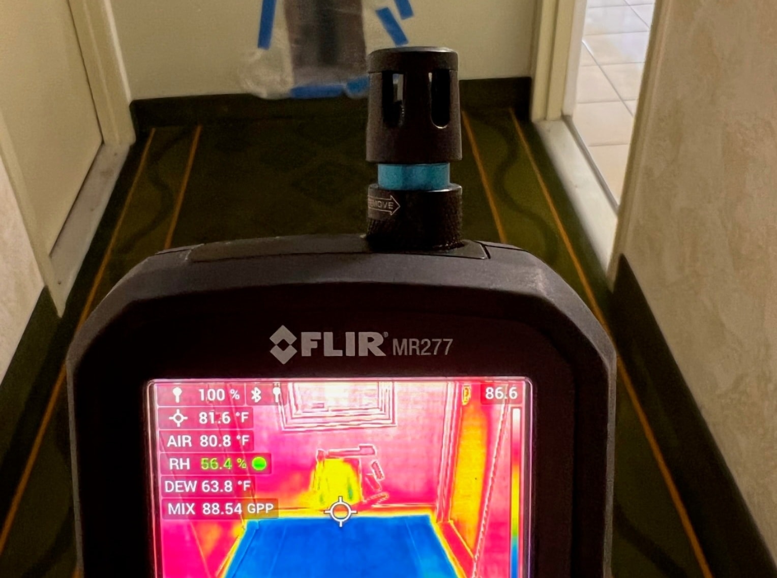 Why Professional Mold Remediation Matters